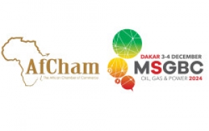 Secteur extractif en Afrique/ Un partenariat strat&eacute;gique pour renforcer les relations commerciales Sino-Africaines